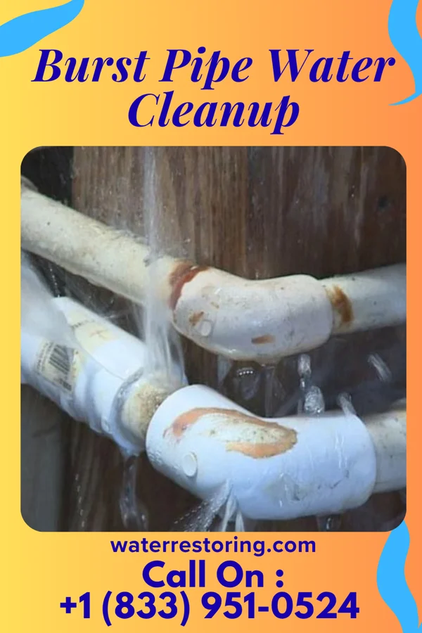 Burst Pipe Water Cleanup in Pine Grove, PA