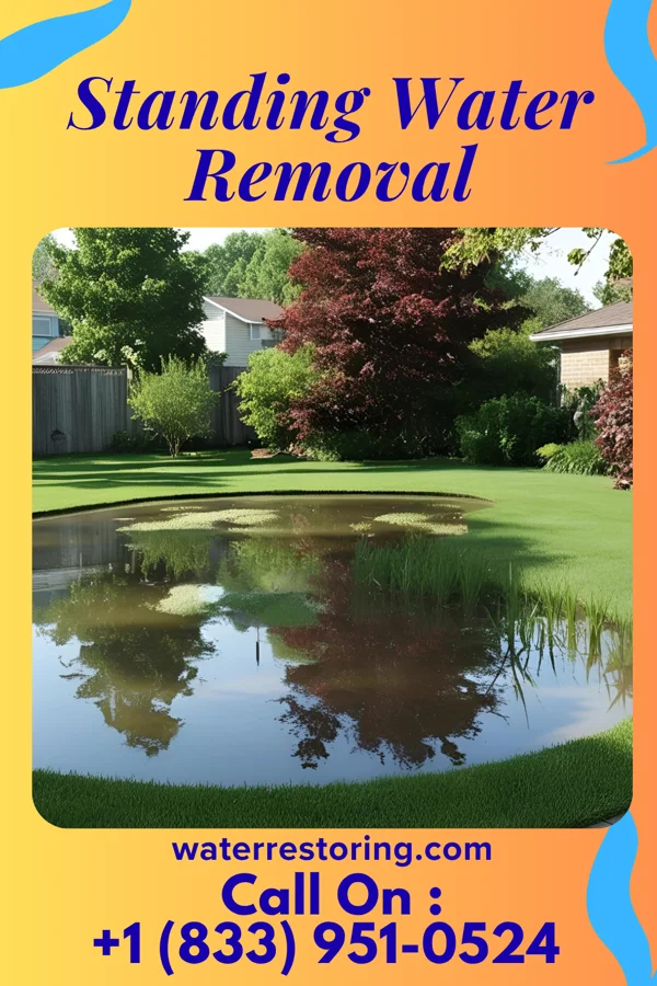 Standing Water Removal in Pine Grove, PA